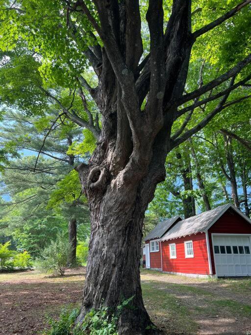 Schoolhouse No. 11 * Hudson Valley Upstate Getaway Stone Ridge المظهر الخارجي الصورة